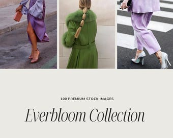 EVERBLOOM Stock Photos | Lavender Matcha Stock Images