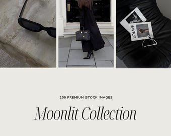 May include: A collection of images featuring a pair of black sunglasses, a person in a long black coat holding a black handbag, and two magazines with the word "LOEWE" on them. The text "Moonlit Collection" is displayed below the images.