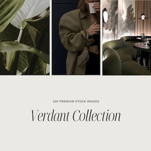 Olive Green VERDANT Stock Photos | Downloadable Photo Set