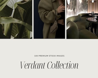 Olive Green VERDANT Stock Photos | Downloadable Photo Set