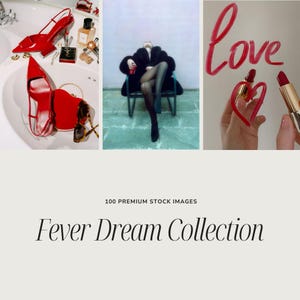 May include: A collage featuring red high heels, a heart-shaped purse, sunglasses, and lipstick. The word "Love" is written in red. The text "Fever Dream Collection" is displayed below the images.