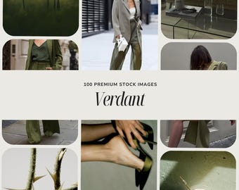 VERDANT Collection Stock Images | Olive Green | Calm Modern Minimalism