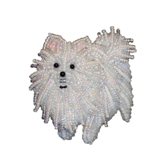 black and grey pomeranian