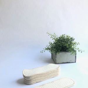 Organic Wingless Liner Set of 5 - 3D Zorb Organic Cotton Fabric & Undyed Thread, Regular Protection