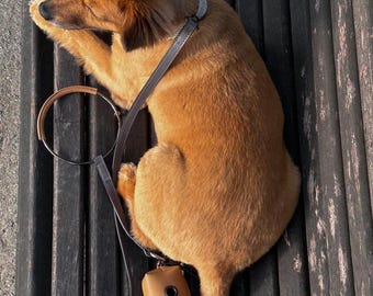 Coleira chique feita à mão para animais de estimação, coleira redonda para cães, acessório moderno para filhotes, presente para um novo cão, roupas estéticas para cães, visual estiloso para cães