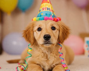 Biglietto d'auguri per compleanno con Golden Retriever: Cappellino da festa per cuccioli (Download digitale) Cartolina elettronica stampabile