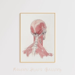 Anatomy Art Print – Human Muscles Illustration – Modern Medical Wall Art – Anatomical Spine Poster – Educational Art Decor - Medical Poster
