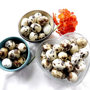 Quail Eggs- 4 Dozen Eating Eggs- From our cage-free farm