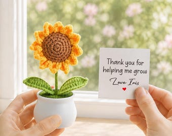 Personalisierter gehäkelter Sonnenblumen-Topf, Geschenk zum Schulanfang für Lehrer, Klassenkameraden oder Freunde, handgefertigte Schreibtischdekoration aus gestrickter Blume