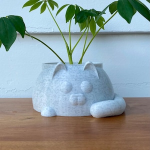 May include: A speckled, light gray cat-shaped planter with a green plant. The planter has a rounded body, ears, and a tail. The plant has multiple green leaves and stems. The planter is sitting on a wooden surface.