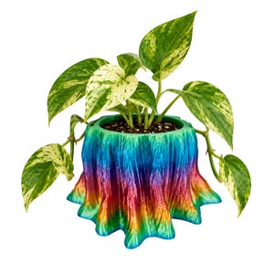 Op de afbeelding: Een bonte pothosplant met hartvormige groen- en crèmekleurige bladeren in een plantenpot in de vorm van een boomstronk. De pot heeft een levendige, meerkleurige gradiëntafwerking die verloopt door tinten blauw, paars, rood en geel.