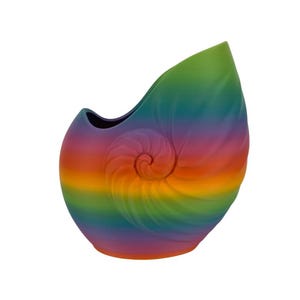 Matte Rainbow Nautilus Pflanzgefäß, Spiralmuschel Sukkulententopf keine Drainage, 8 Zoll