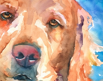 Golden Retriever High Resolution Print of Original Fine Art Watercolor by Ron Krajewski Home Wall Art Décor in 8"x10" and 11"x14" Sizes