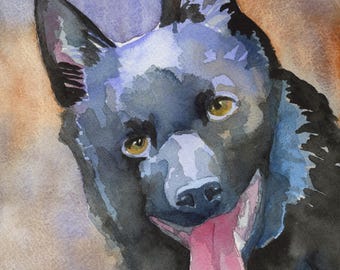 Schipperke Watercolor Dog Art Print by Ron Krajewski