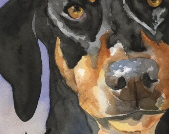 Könnte beinhalten: Aquarellmalerei eines schwarz-braunen Hundes mit braunen Augen, der direkt auf den Betrachter schaut. Die Nase des Hundes ist sichtbar und der Hintergrund ist helllila.