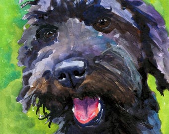 Schnoodle Dog Lover Gift Idea Watercolor Portrait Dog Lover by Ron Krajewski pet memorial accent Wall decor Giclée AQ AP ABC fap hqp muse