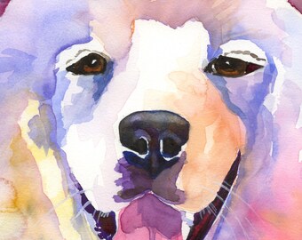 Samoyed Watercolor Print: Ron Krajewski Fine Art, Home Wall Decor