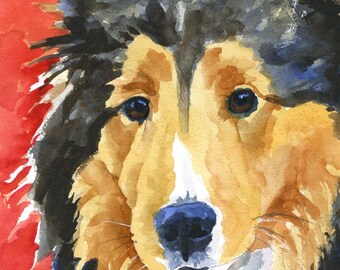 Shetland Sheepdog Watercolor Print: Ron Krajewski Fine Art, Home Wall Decor