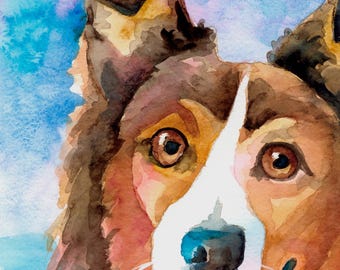Shetland Sheepdog Watercolor Print: Ron Krajewski Fine Art, Home Wall Decor
