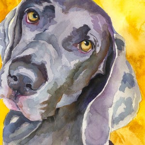 Impresión de alta resolución de un Weimaraner en acuarela original de Ron Krajewski, decoración de pared para el hogar en tamaños de 8" x 10" y 11" x 14".