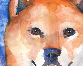 Shiba Inu Watercolor Print: Ron Krajewski Fine Art Wall Decore 8x10 & 11x14 Free Shipping