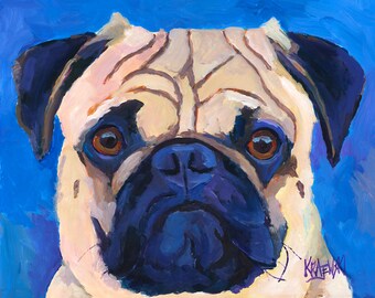 May include: A close-up portrait of a pug dog with a light brown and white coat. The dog has a black nose and dark brown eyes. The background is a bright blue color.