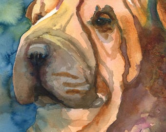 Shar Pei Watercolor Print: Dog Portrait Fine Art by Ron Krajewski