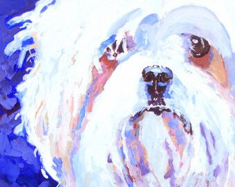 Maltese Dog Watercolor Print: Ron Krajewski Fine Art, Home Wall Decor