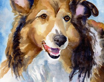 Shetland Sheepdog Watercolor Print: Ron Krajewski Fine Art, Home Wall Decor