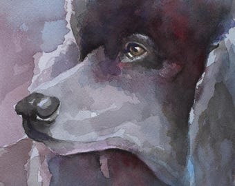 Puede incluir: Pintura acuarela de la cabeza y el cuello de un caniche estándar negro. El pelaje del perro está pintado en tonos grises y morados, con un toque de rojo alrededor del ojo. El ojo del perro es marrón y mira directamente al espectador.