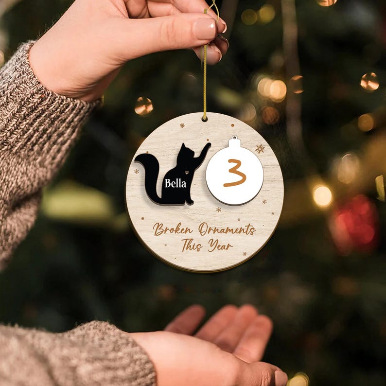Broken Ornaments This Year Cat Ornament With Dry Erase Funny Cat
