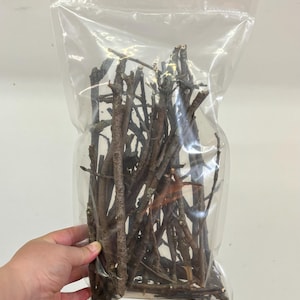 Piccoli bastoncini per recinto bioattivo, piccoli bastoncini/rami della giungla dei rettili, forniture bioattive, cibo per isopodi, terrario