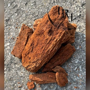 Peut inclure: Un tas de substrat pour reptiles brun rougeâtre, composé de morceaux d'écorce. Les morceaux sont de tailles et de formes variées, avec une surface rugueuse et texturée. L'image comprend un logo circulaire avec le texte "THE REPTILE JUNGLE" et les initiales "TRJ".