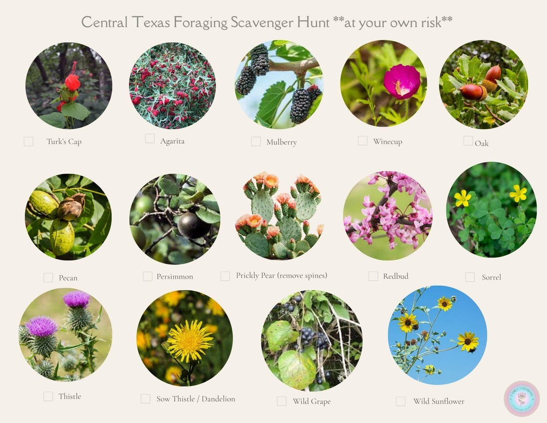 Texas Foraging Video Foraging Central Texas Scavenger Hunt **at Your Own Discretion** - Etsy