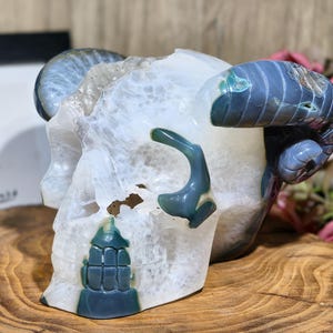 RARE Natural Geode Agate Skull Sculpture, Home Decor, Crystal Skull, Metaphysical Skull Gift, Healing Crystal, Crystal Gift Carving Decor