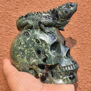 GIANT !!! Natural Kambaba Lizard Skull Figurine, Home Decor, Rare Crystal Skull Carving, Crystal Skull Decor, Crystal Healing Decor