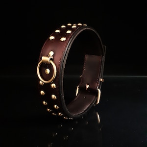 High-end collar for large dogs, leather and brass.
