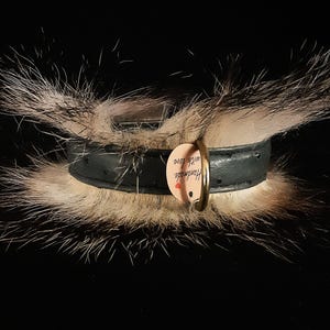 Collare per Bulldog francese in pelle di struzzo e pelo di tasso, larghezza 2,5 cm.