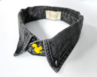 Dog Collar. Denim Dog Collar. Upcycled Dog Collar. Pointed Collar. Pet Accessories. Dog Clothing. Squirrel.