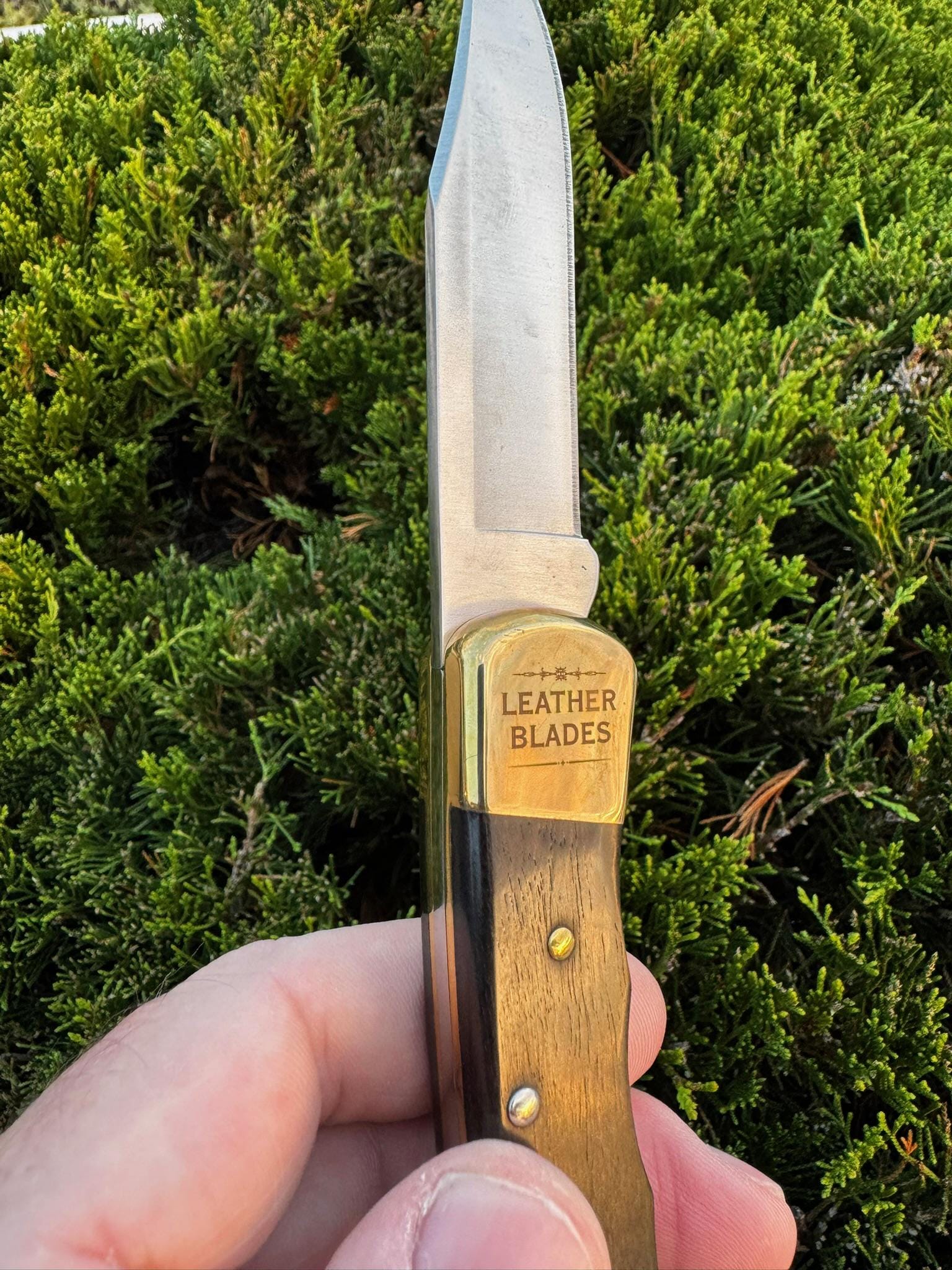 BUCK 110 ステンレススチール ナイフ 木製ハンドル レザーケース付き Buck 110 Folding Hunter Knife with Leather Sheath - Buck® Knives