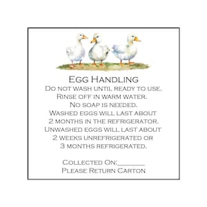 36 Duck Egg Handling Care Carton Labels Stickers