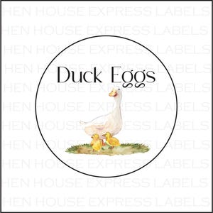 40 Duck Eggs Carton Labels Stickers