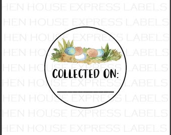 96 Collected On Date Egg Carton Labels Stickers