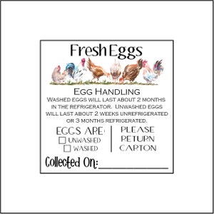 Egg Handling Care Carton Labels Stickers (40 2" Inch Square or 36 2.5" Inch Square)