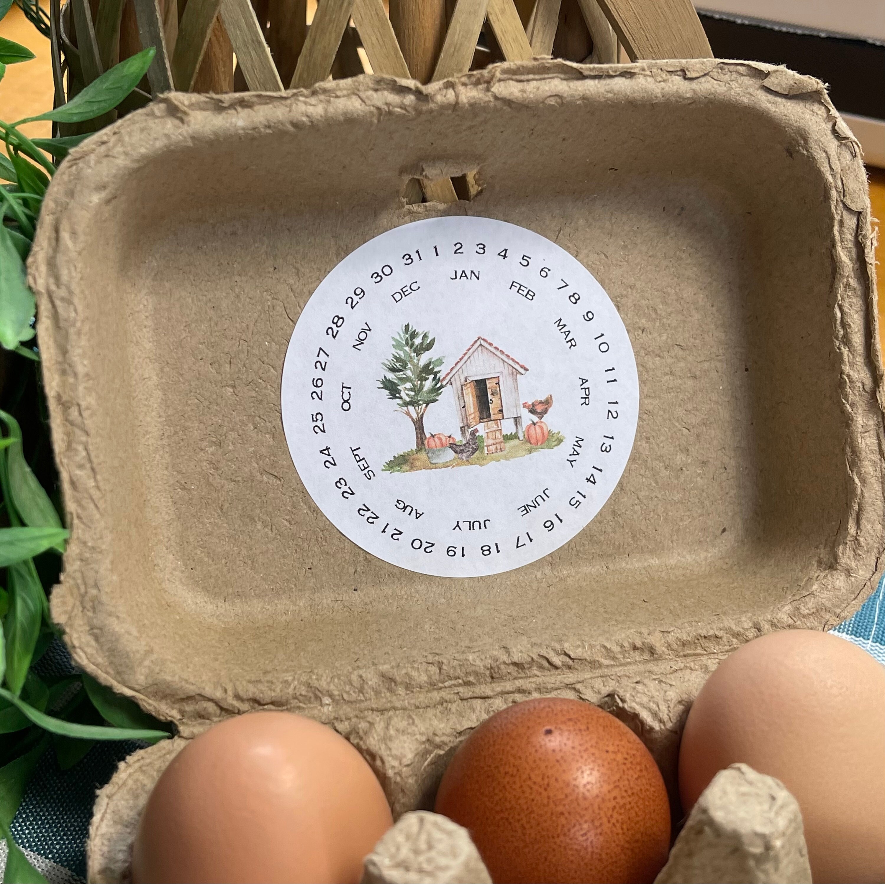 Egg Carton Date Labels Stickers 30 3 or 36 2.5 or Etsy