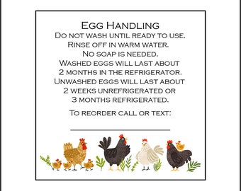 36 Egg Handling Care Carton Labels Stickers