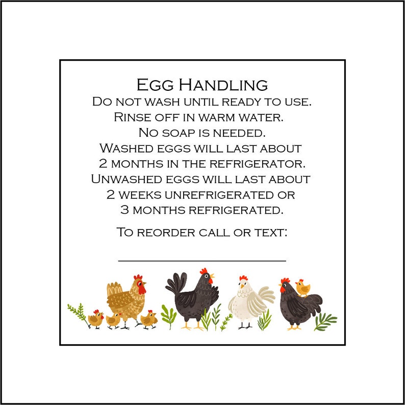 36 Egg Handling Care Carton Labels Stickers image 1