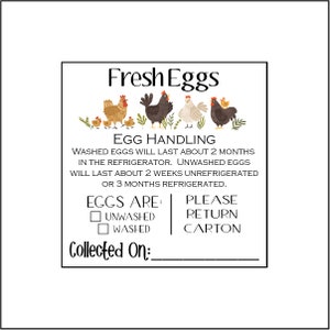 Egg Handling Care Carton Labels Stickers (40 2" Inch Square or 36 2.5" Inch Square)