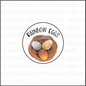 96 Rainbow Eggs Carton Labels Stickers