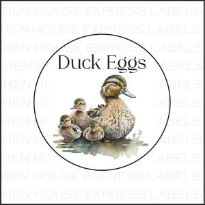 40 Duck Eggs Carton Labels Stickers